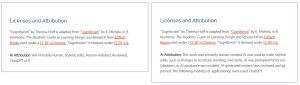 two attribution statement examples